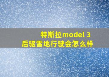 特斯拉model 3后驱雪地行驶会怎么样